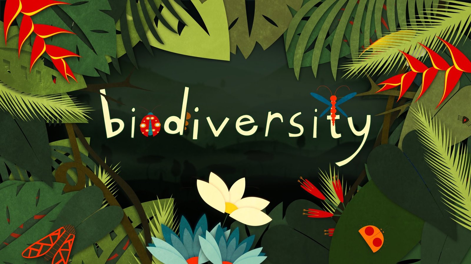 The Importance of Biodiversity: Why It Matters for Our Planet